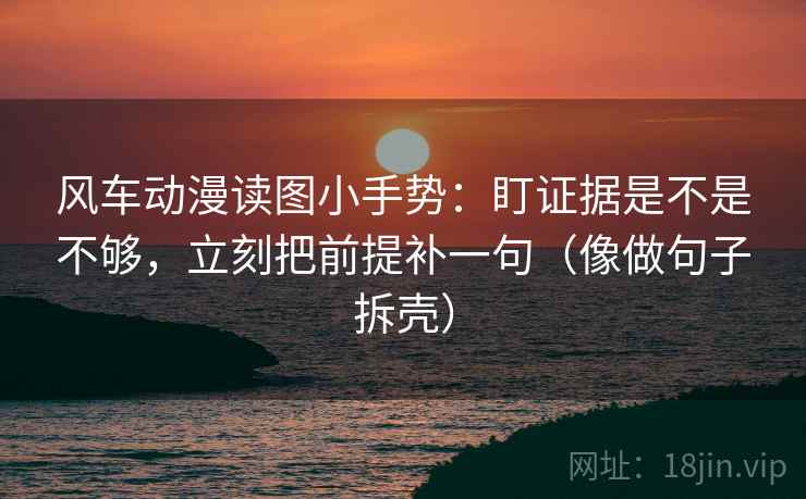 风车动漫读图小手势：盯证据是不是不够，立刻把前提补一句（像做句子拆壳）